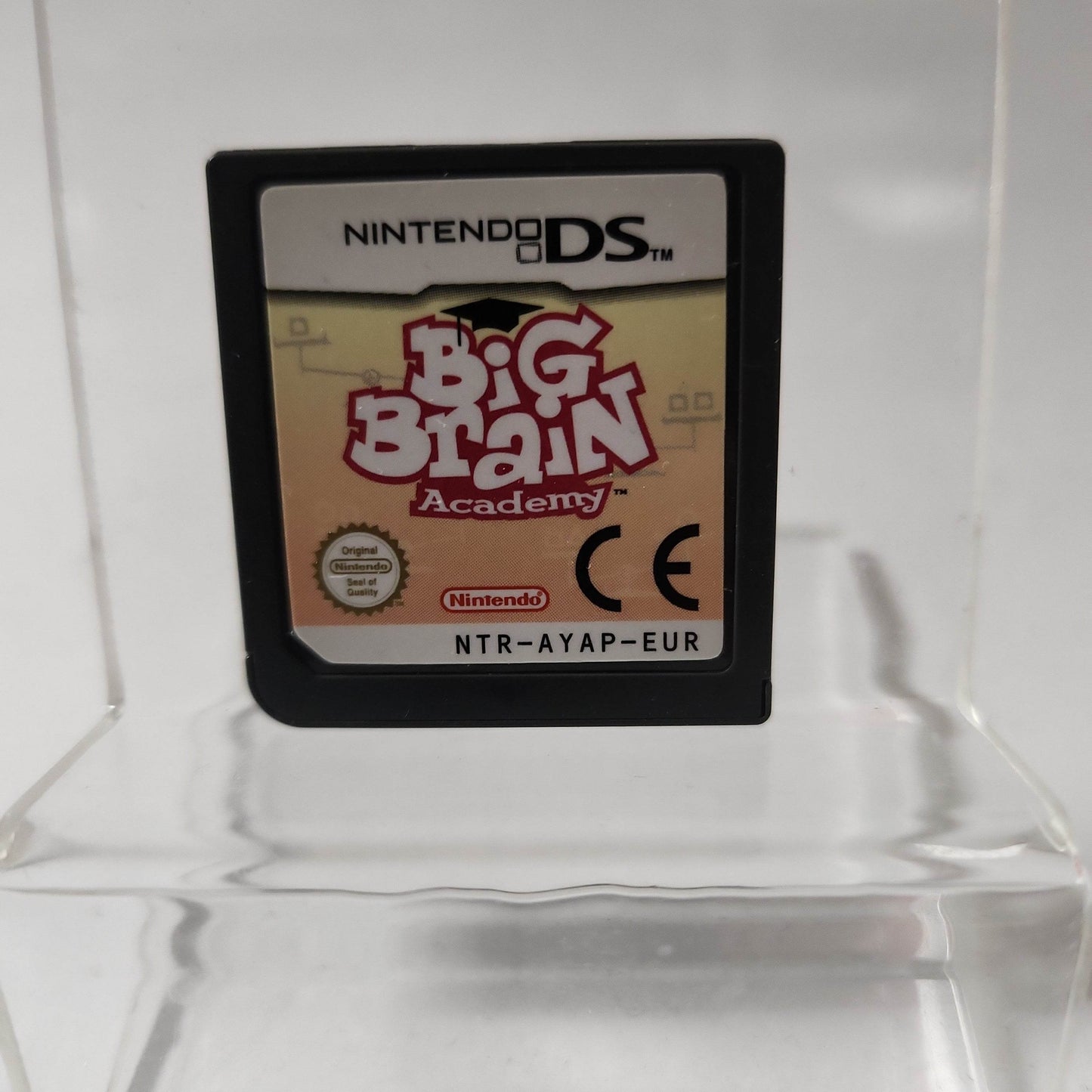Big Brain Academy (Disc Only) Nintendo DS - Feniks Gameshop