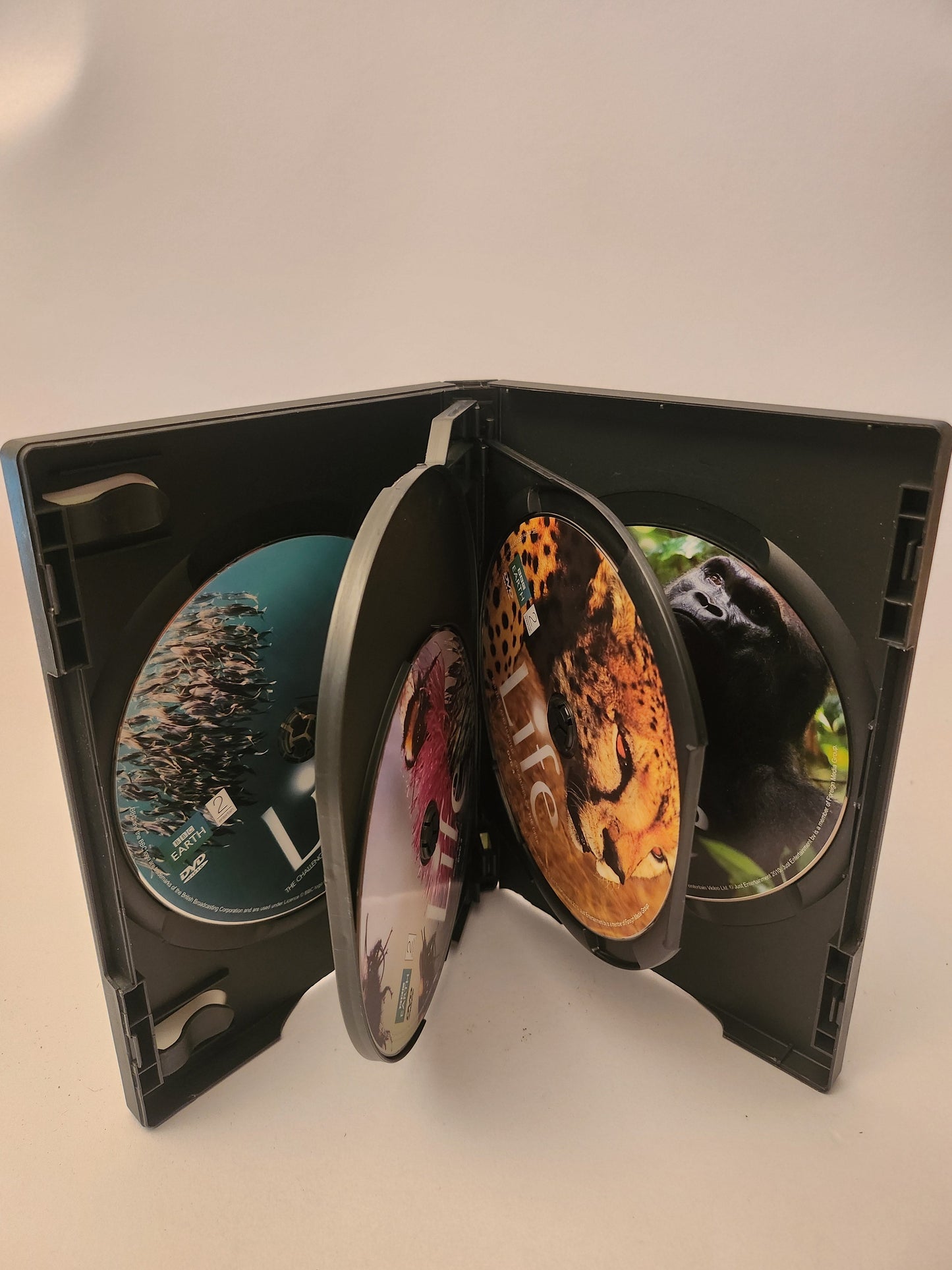 Life 4 Box Dvd - Dvd Volwassenen