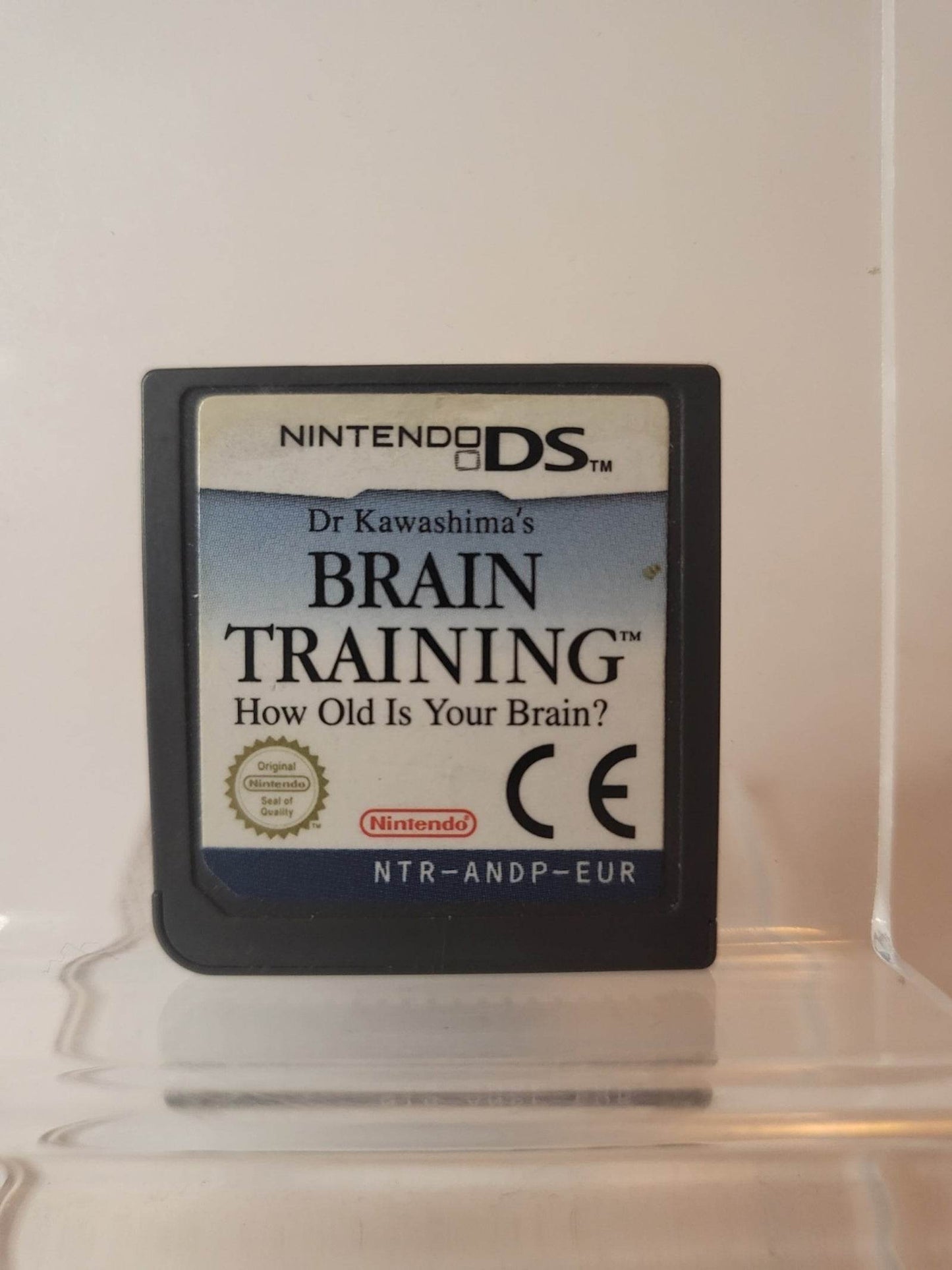 Brain Training (Disc Only) Nintendo DS - Feniks Gameshop