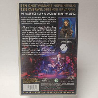 Cats de Musical - Feniks Gameshop