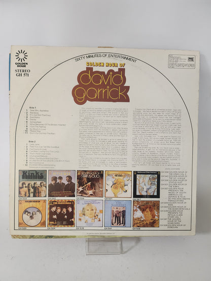 40 Golden Greats: Jim Reeves LP Vinyl - Lp Vinyl
