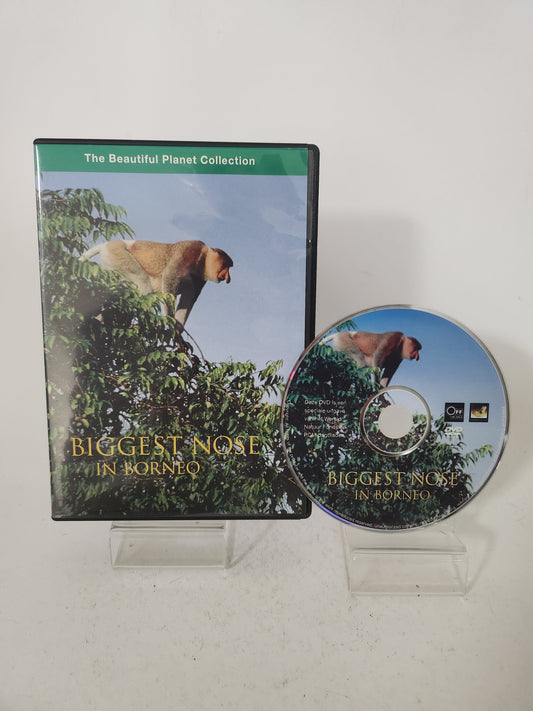 Biggest Nose in Borneo Dvd - Dvd Volwassenen