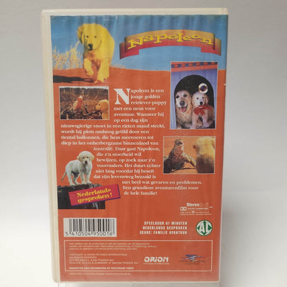 Napoleon VHS - Feniks Gameshop