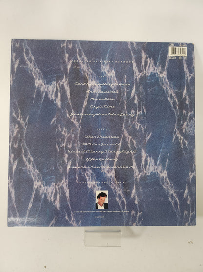 Starry Night: Julio Iglesias LP Vinyl