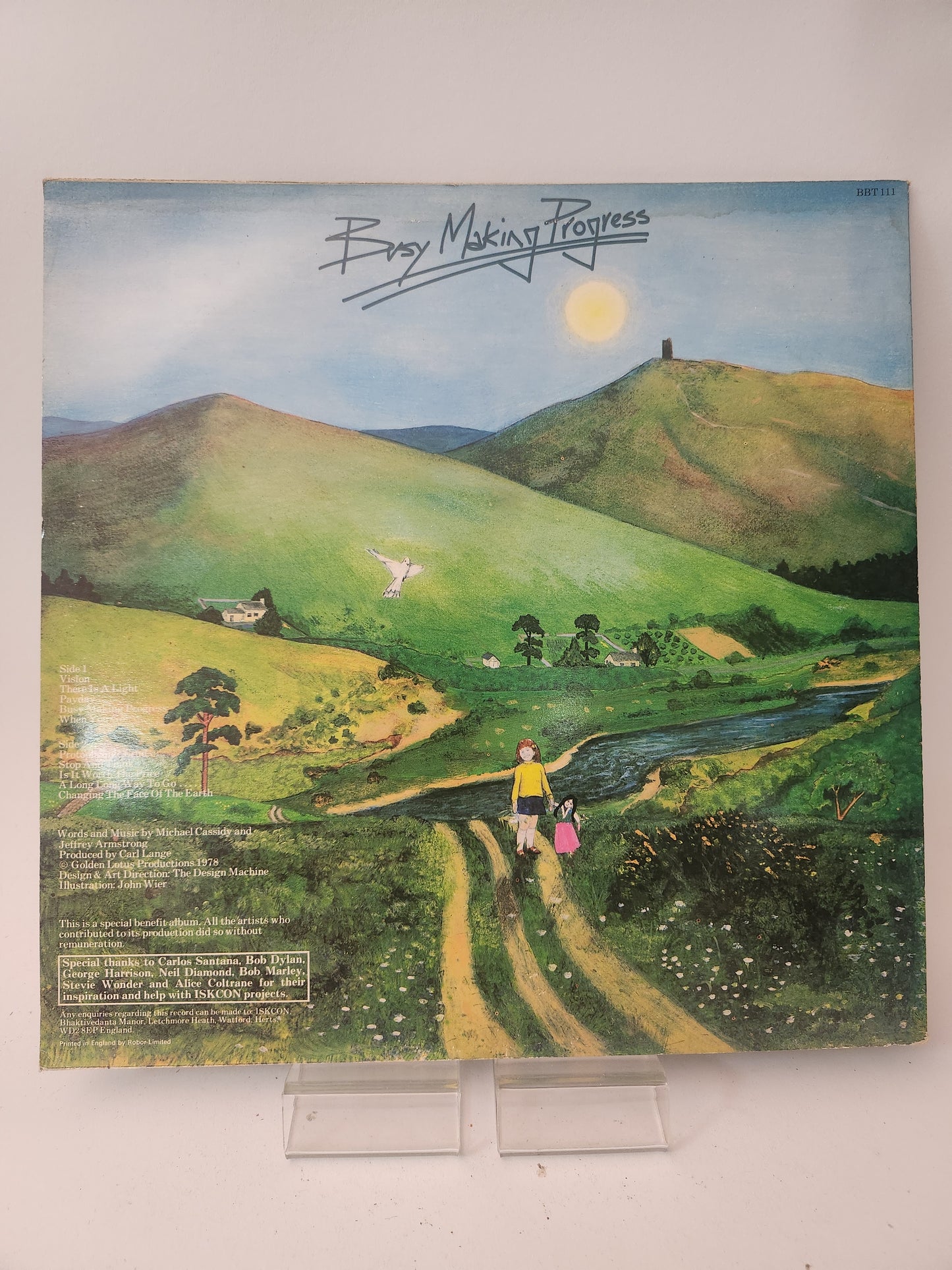 Busy Making Progress LP Vinyl