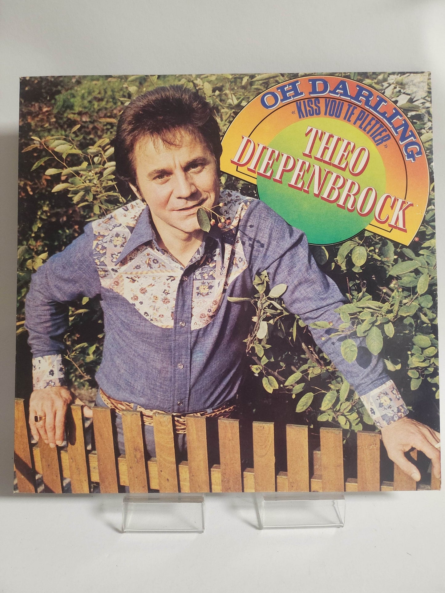 Theo Diepenbrock: Oh Darling LP Vinyl - Feniks Gameshop