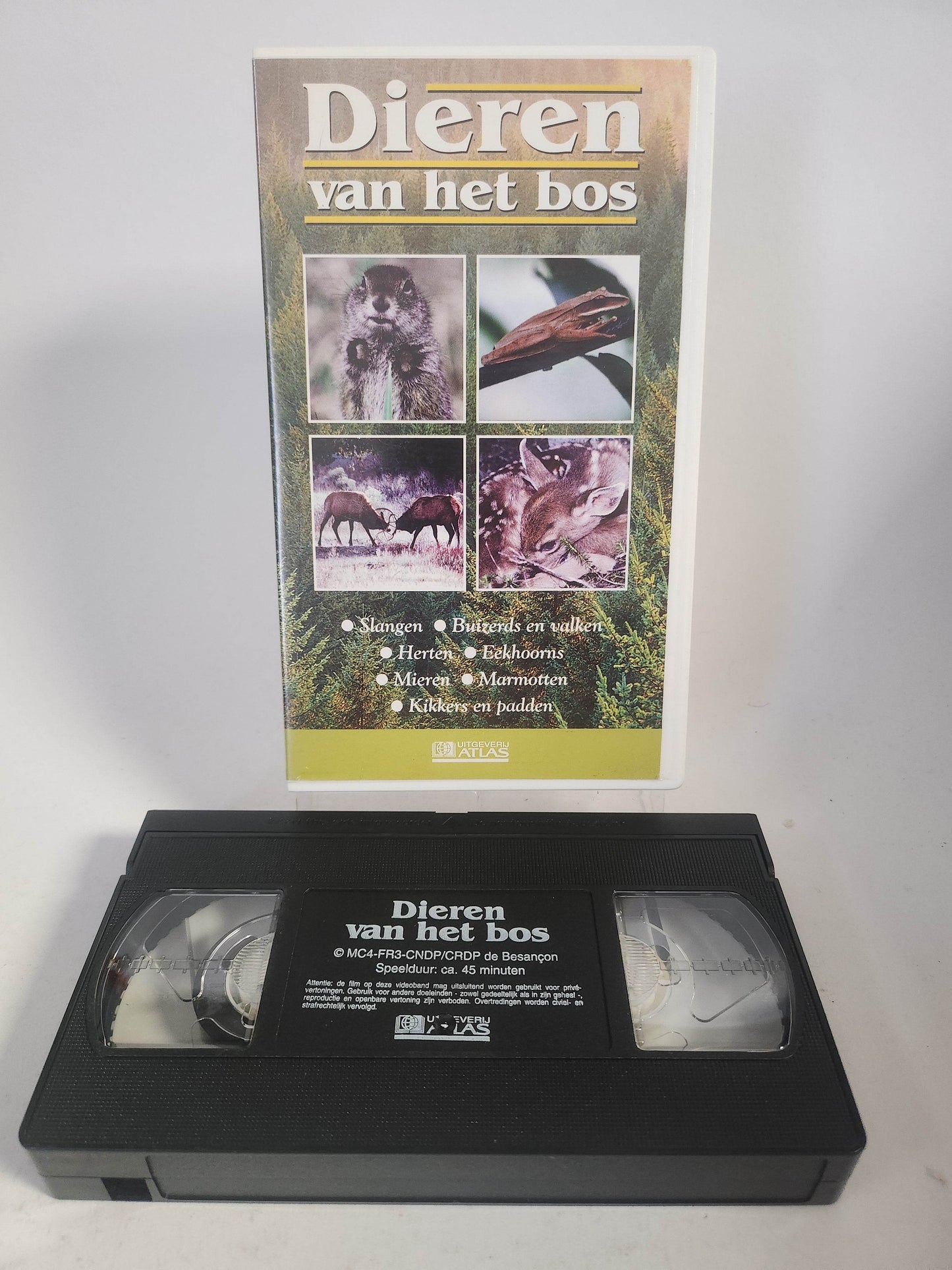 Dieren van het Bos VHS - Feniks Gameshop