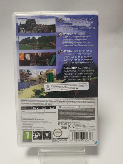 Minecraft Nintendo Switch