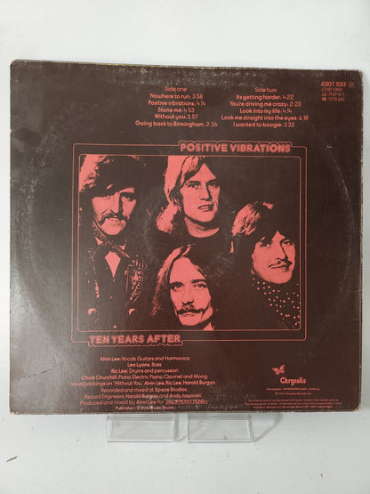 Positive Vibrations: 10 Years Later LP Vinyl