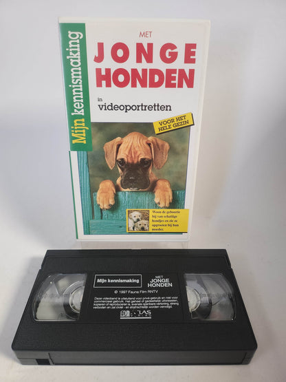 Mijn Kennismaking met Jonge Honden VHS - Feniks Gameshop