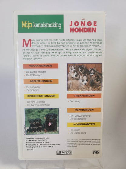Mijn Kennismaking met Jonge Honden VHS - Feniks Gameshop