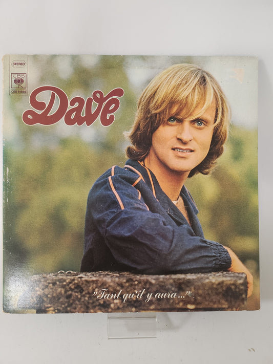 Tante Qu’il Y Aura: Dave LP Vinyl - Lp Vinyl