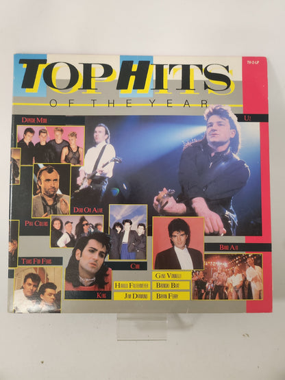 Top Hits of the Year LP Vinyl - Lp Vinyl