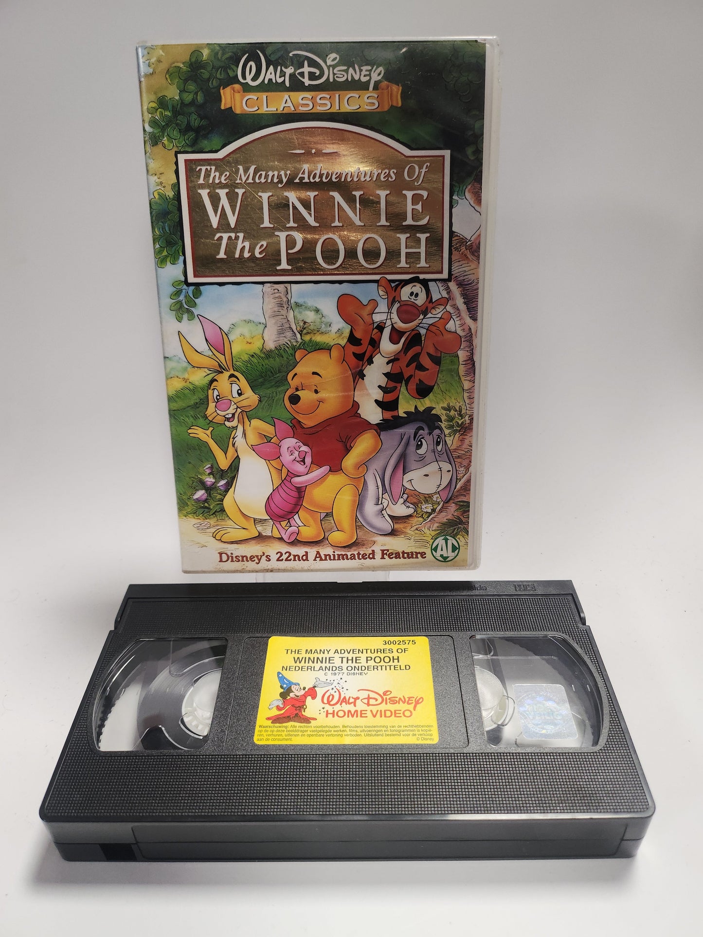 Winnie the Pooh: the Many Adventures of VHS Kids - VHS Kids